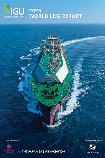 2025 LNG Report