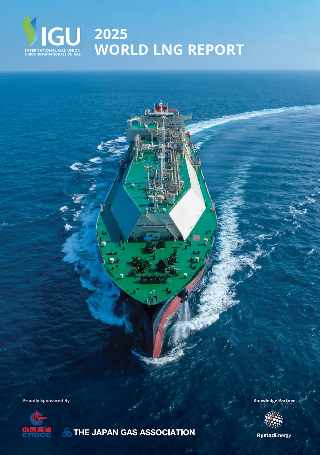2025 LNG Report